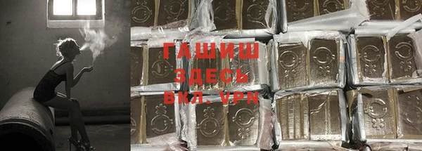 мяу мяу мука Козельск