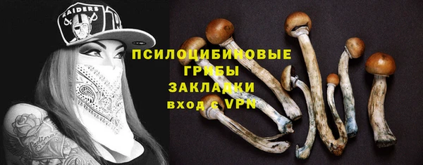 мяу мяу мука Козельск