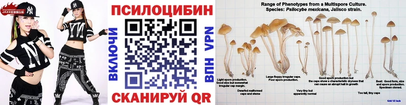 Псилоцибиновые грибы Cubensis  гидра ссылки  Самара  закладки 