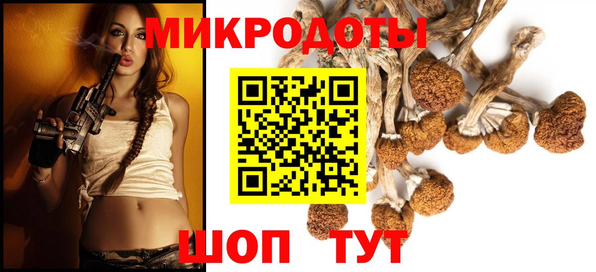 Псилоцибиновые грибы Cubensis Самара